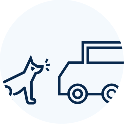 上路扰车
